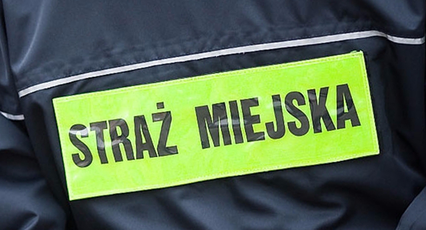 W Płocku poszukują chętnych do pracy w  Straży Miejskiej.