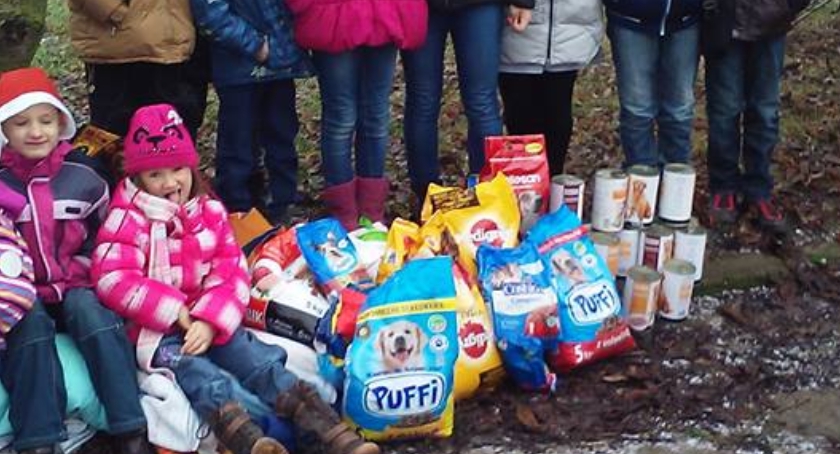 Maluchy z Płocka pomagają bezdomnym czworonogą w Małej Wsi.
