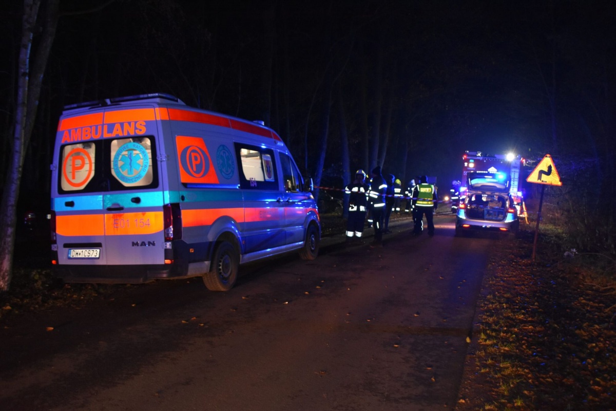 SARNA WYBIEGŁA NA DROGĘ. 18-LATEK UDERZYŁ W DRZEWO