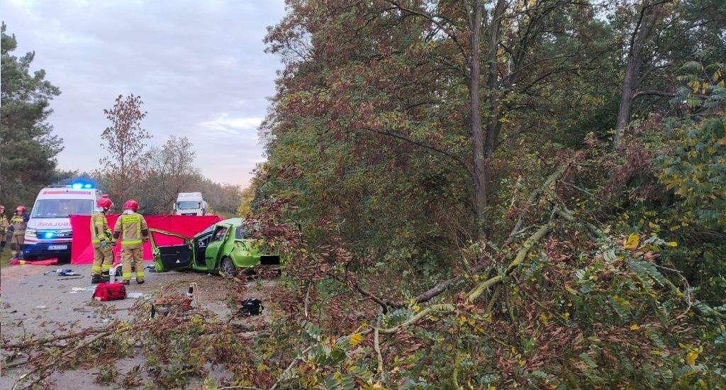 WYPADEK NA PROSTEJ DRODZE. DWIE OSOBY W SZPITALU!