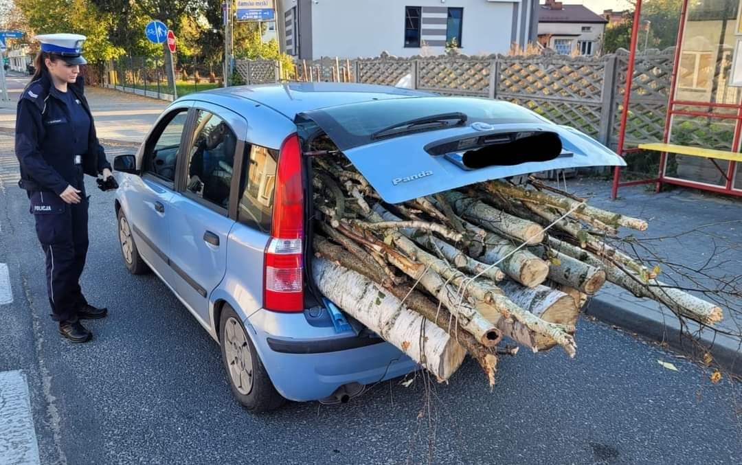 POLAK POTRAFI. 43-LATEK PRZEWOZIŁ DREWNO OPAŁOWE OSOBÓWKĄ