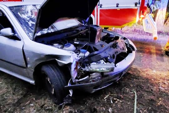 SZYBKĄ JAZDĘ ZAKOŃCZYŁ NA DRZEWIE. DO ZDARZENIA DOSZŁO W LESIE