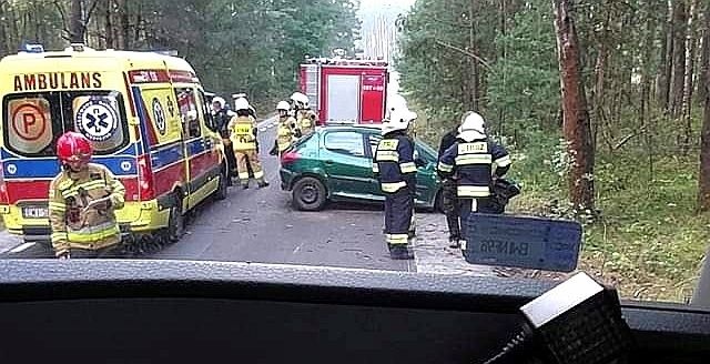 ZDERZENIE Z SARNĄ, POTEM Z DRZEWEM. KIEROWCA W SZPITALU