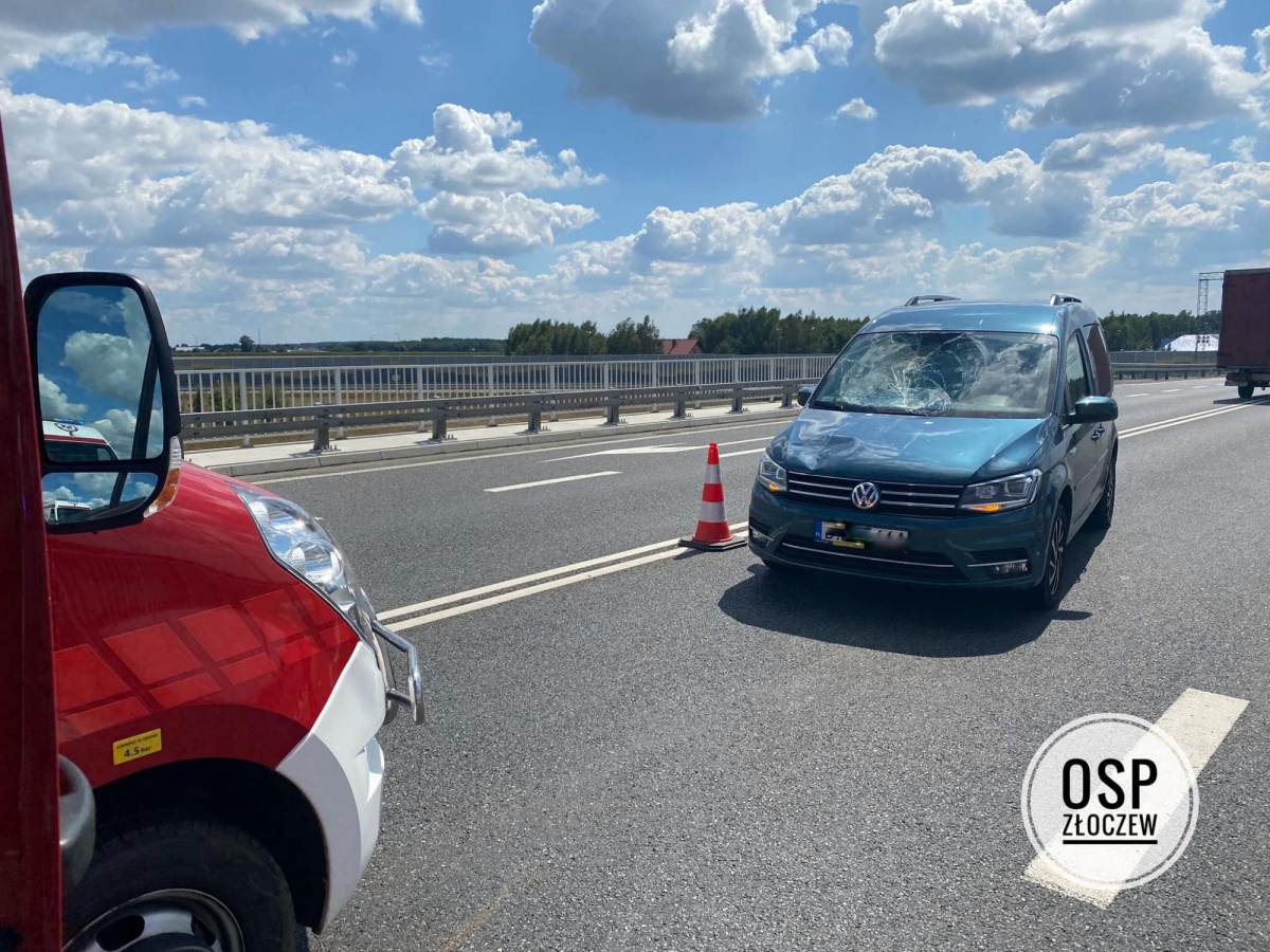 DROGOWIEC WTARGNĄŁ POD NADJEŻDŻAJĄCE AUTO