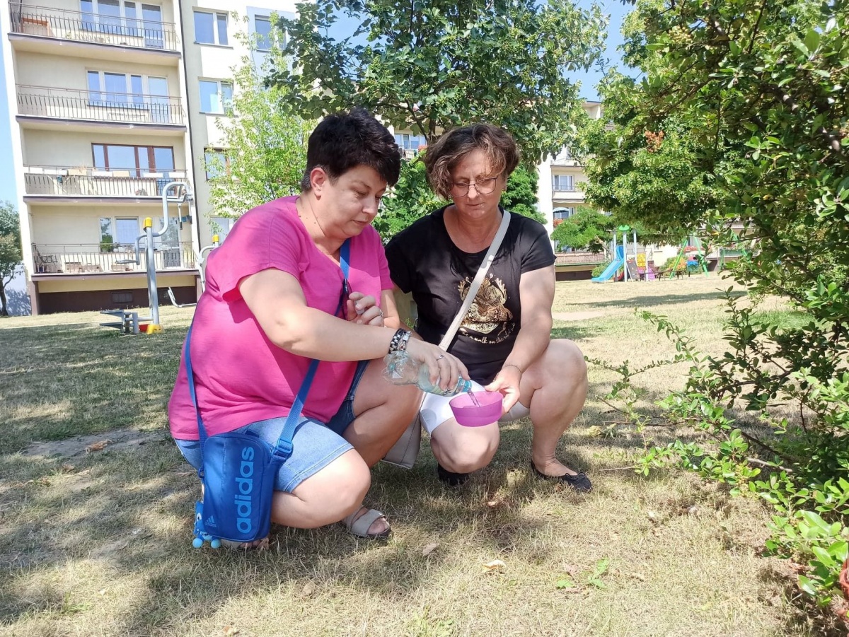 KOMU TE MISKI PRZESZKADZAJĄ???