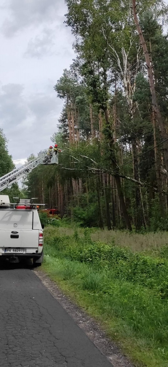USUWALI ZAGROŻENIE NAD DRUTAMI