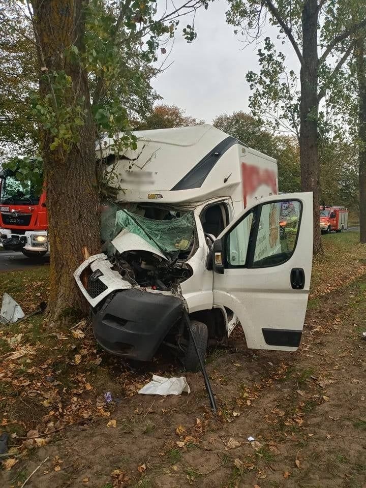 Uderzył w przydrożne drzewo