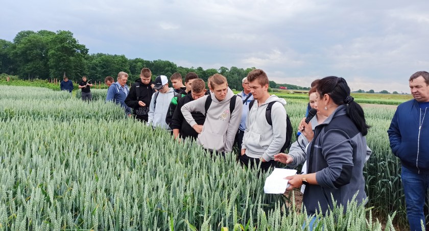 Dni Pola w Masłowicach – mówili nie tylko o odmianach 