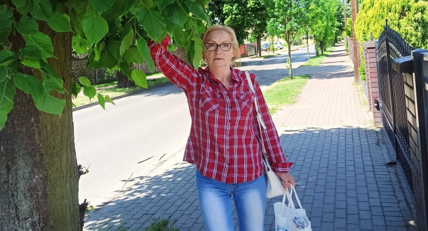 Muszą się kłaniać drzewom