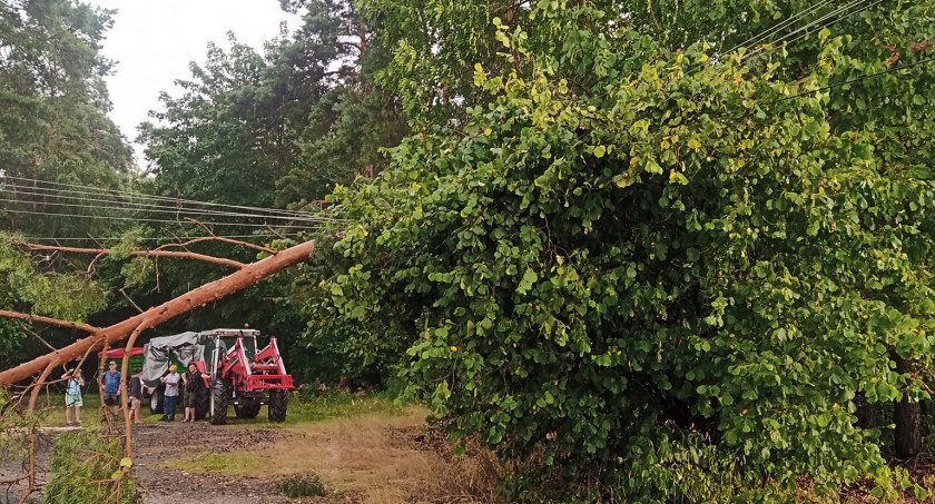Bez dostaw prądu - drzewo spadło na linie energetyczne