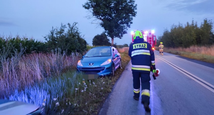 Sarna z impetem uderzyła w osobówkę