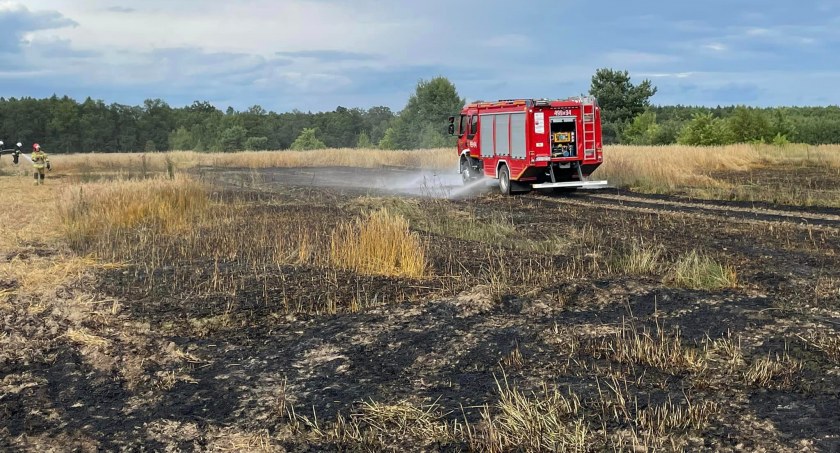 Kolejny pożar zboża - spaliły się trzy hektary 