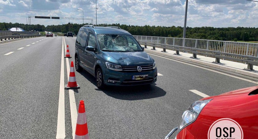 Drogowiec wtargnął pod nadjeżdżające auto 