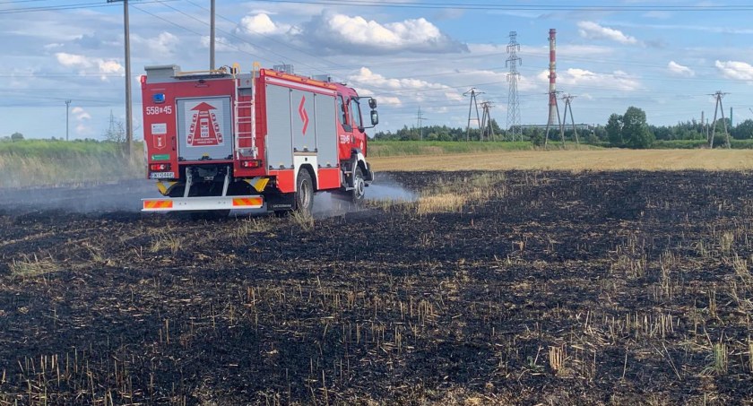 Ogień na polu w Wieluniu - paliło się ściernisko 