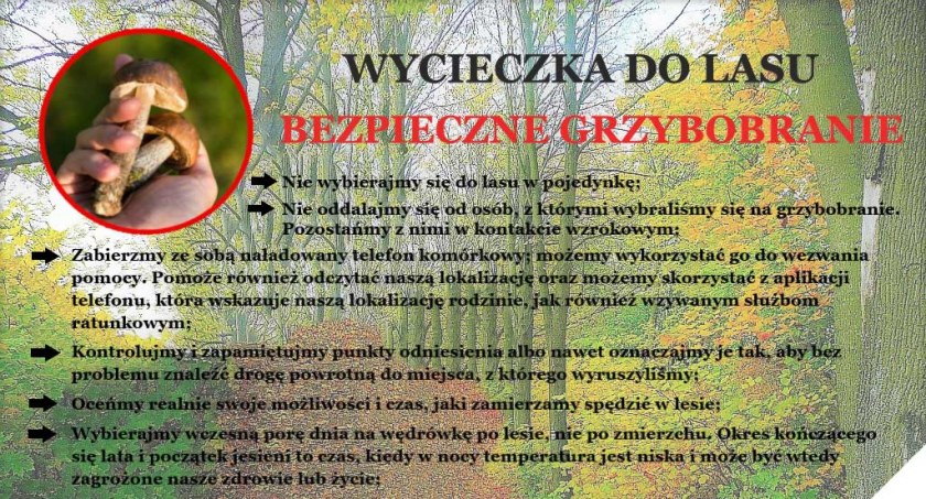 73-latka zgubiła się na grzybach 