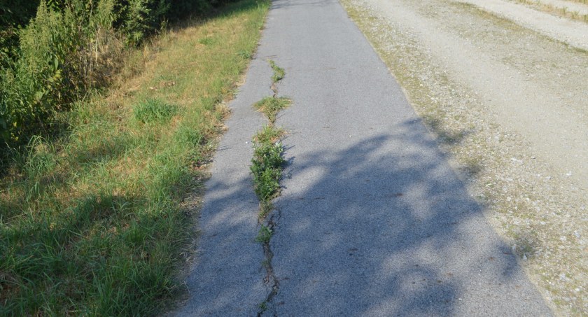 Jeździ się jak po sznurku … z supełkami 