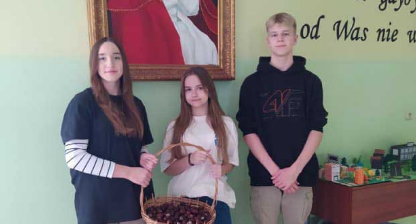 Ponad tona kasztanów dla Krzysia 