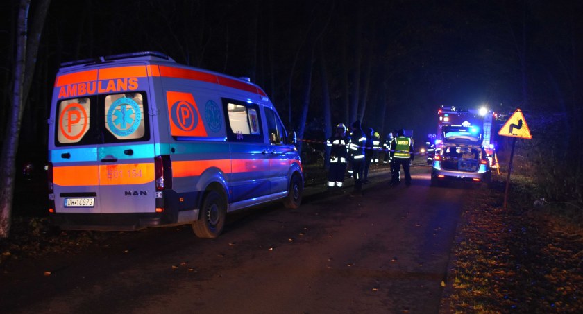 Sarna wybiegła na drogę. 18-latek uderzył w drzewo 