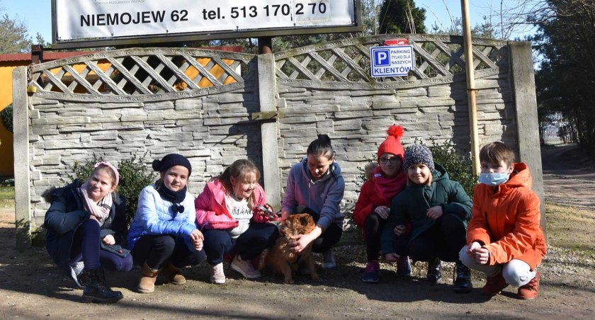Sprawę adopcji psów zbada prokuratura