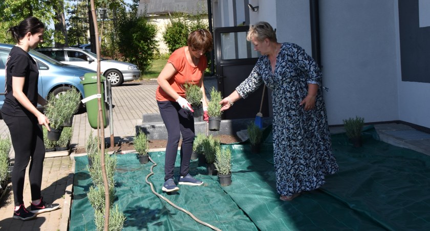 ,,W cieniu klonów i zapachu lawendy” - nowe nasadzenia wokół budynku GCKiBP w Konopnicy