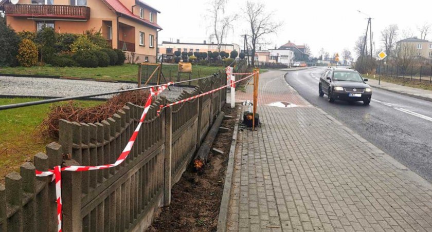 Uderzył w słup telegraficzny