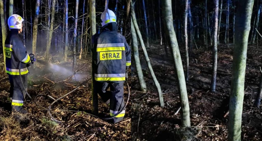 Pożar w lesie - strażacy szybko opanowali ogień 