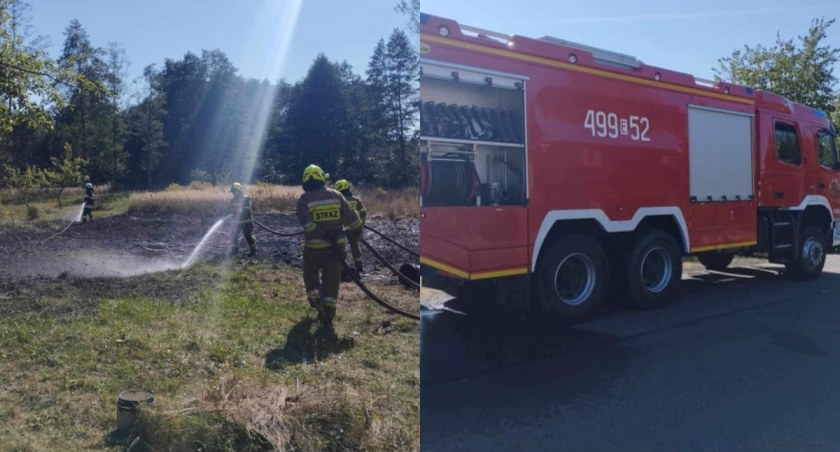 Pożar traw - strażacy gasili ogień w Bogumiłowicach