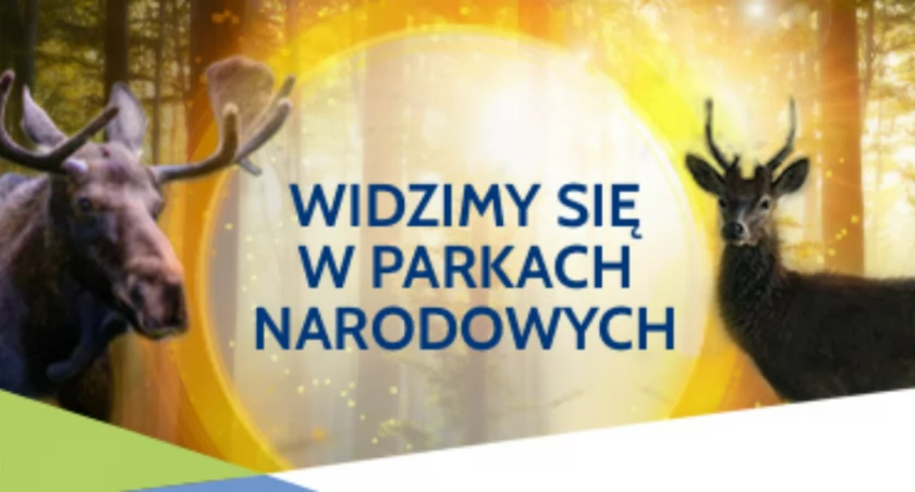 Zobacz jesienną odsłonę Parków Narodowych współpracujących z PGE