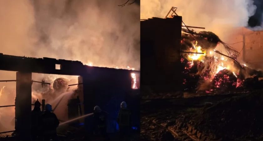 Ogromny pożar budynku - zginęły krowy, spłonął sprzęt