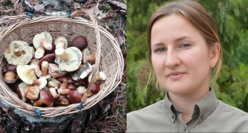 Maria Poznerowicz z Nadleśnictwa Wieluń radzi: nie ma pewnych grzybów!