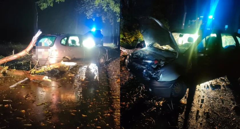 Powalone drzewo na drodze - uderzył w nie samochód