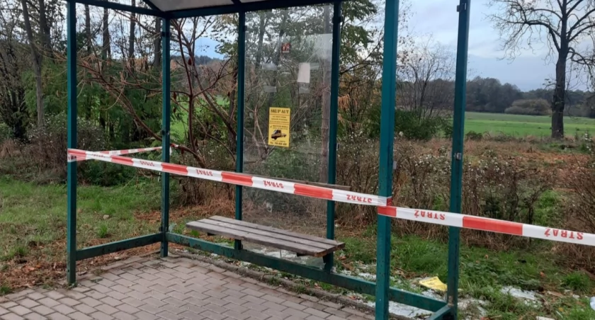 Pijany 23-latek niszczył przestanki. Wpadł przez szkło w kapturze