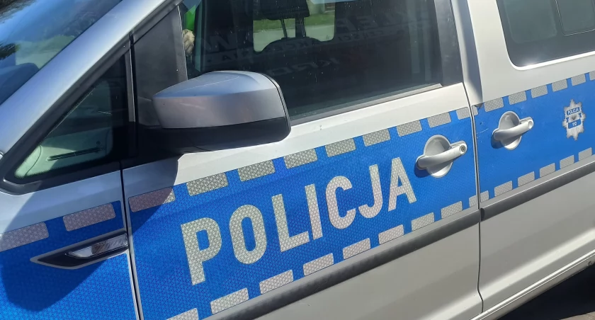Pijany 20-latek staranował w Wieluniu znak drogowy i sygnalizator