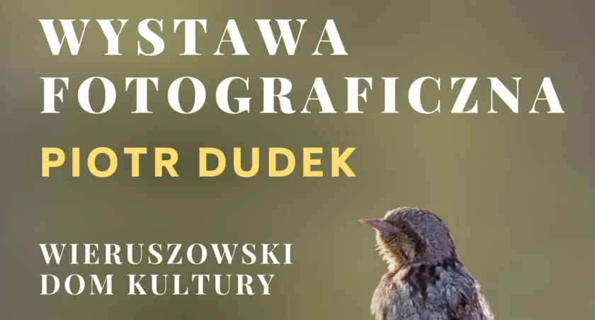 Wyjątkowa wystawa zdjęć ptaków - autorem Piotr Dudek
