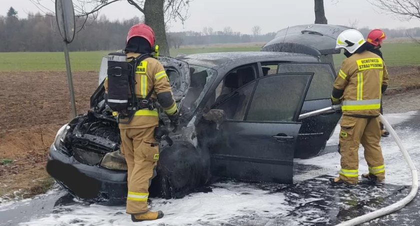 Auto zapłonęło przy drodze krajowej – akcja straży w Stanisławowie