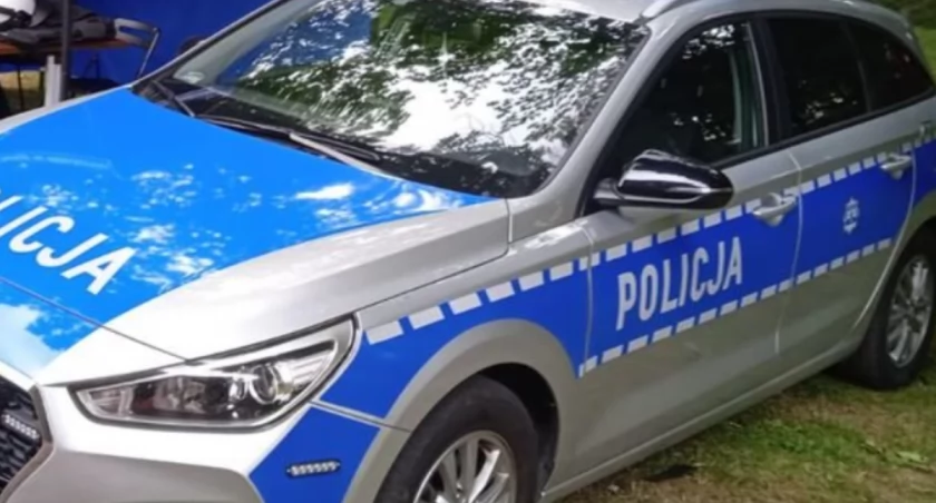 Martwy kot stał się zabawką dla nastolatków z Wielunia – policja ustala okoliczności