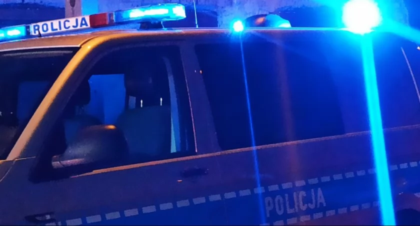 Stado koni wybiegło na drogę - kierowca auta w szpitalu, jeden z koni nie przeżył 