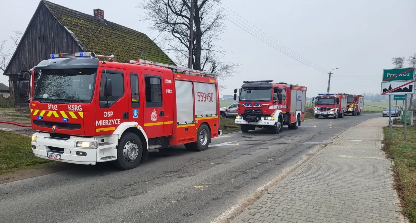 Pożar w domu jednorodzinnym w Przywozie - straty na 50 tys. zł