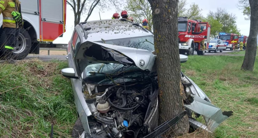 Wypadek w Pątnowie. Kierowca najprawdopodobniej zasnął za kierownicą 