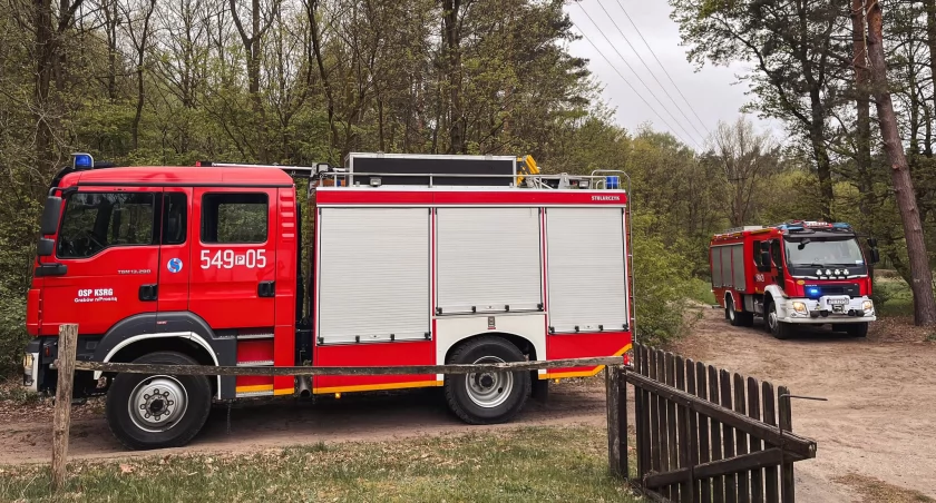 Tragedia podczas prac w lesie - zginął 37-latek
