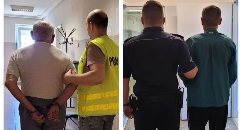 Mieszkaniec gminy Osjaków zabił sarnę z sąsiadem a potem na niego doniósł