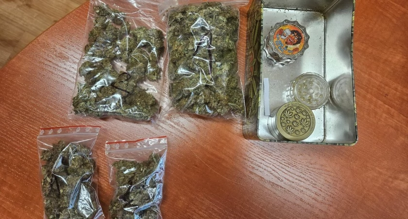 31-latek pójdzie siedzieć z handel marihuaną? 