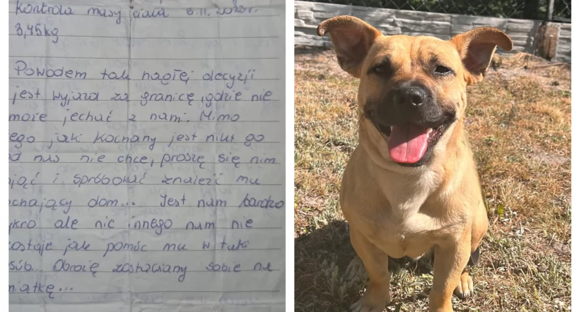 W Konopnicy znaleziono psa – właściciele przepraszają w liście za porzucenie