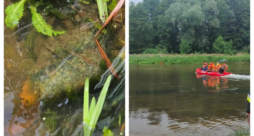 Niewybuch w Krzeczowie  - konieczna interwencja wojska