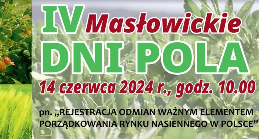 IV Masłowickie Dni Pola - program imprezy