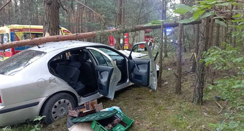 Starszy pan nie zapanował nad kierownicą. Samochód uderzył w drzewo 