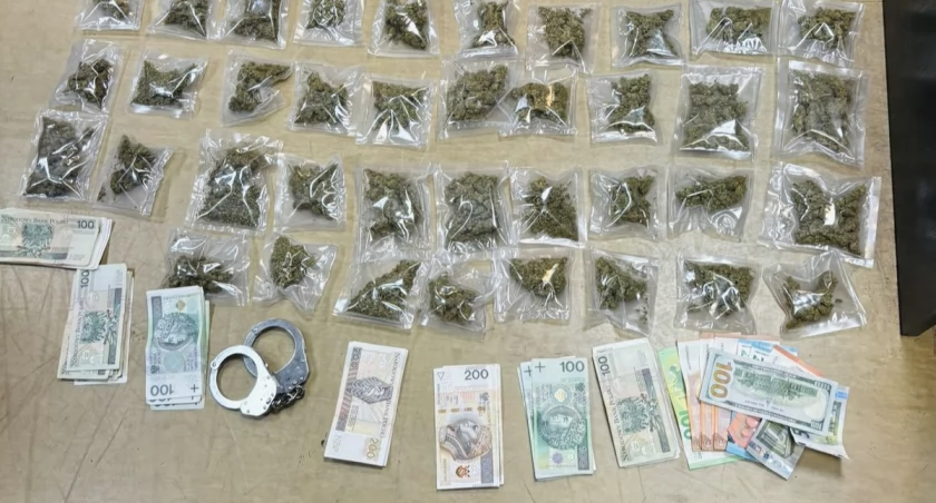 300 gramów marihuany i znaczna ilość gotówki. 24-latkowi grozi 10 lat więzienia
