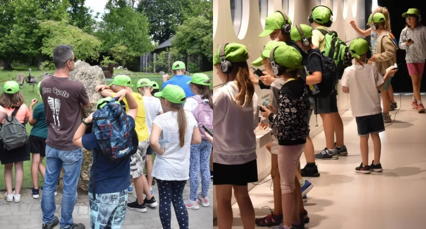 Wizyta w muzeum i w zoo - dzieci z Wielunia na półkolonii