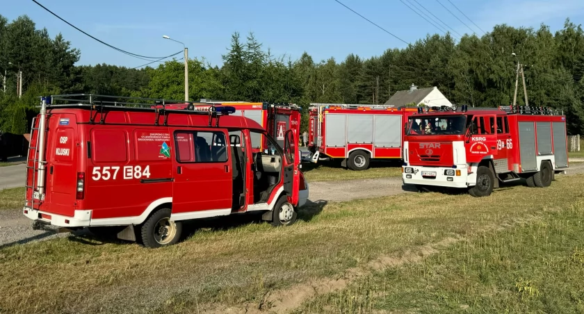Groźne użądlenie przez osę. Wzywany był śmigłowiec LPR