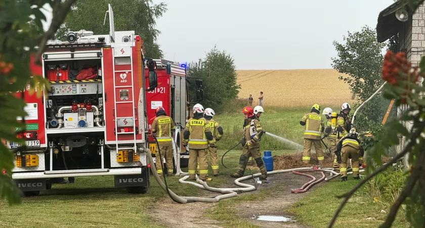Pożar domu w Krzyworzece. Strażacy uratowali dobytek